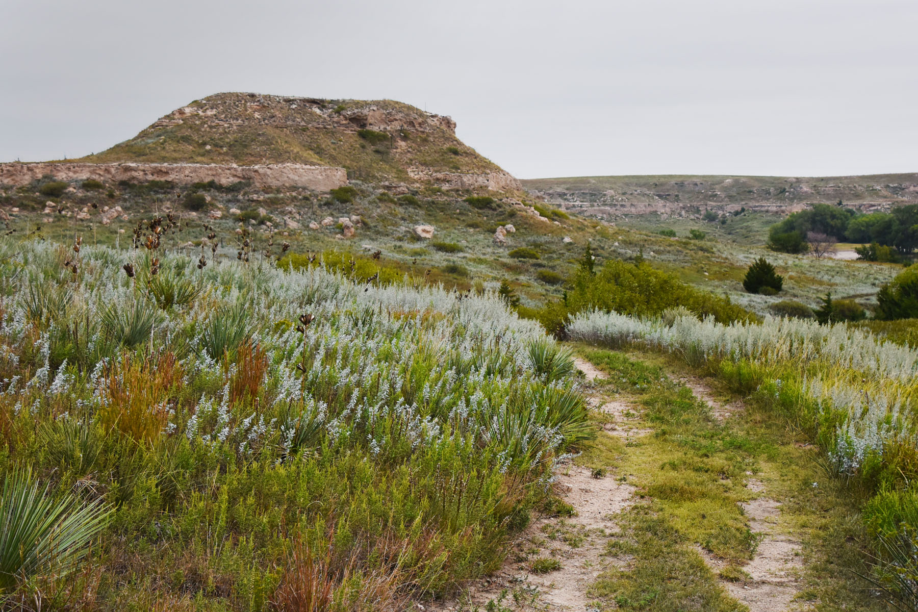 Hiking Kansas: The Bridle Trail At Lake Scott State Park