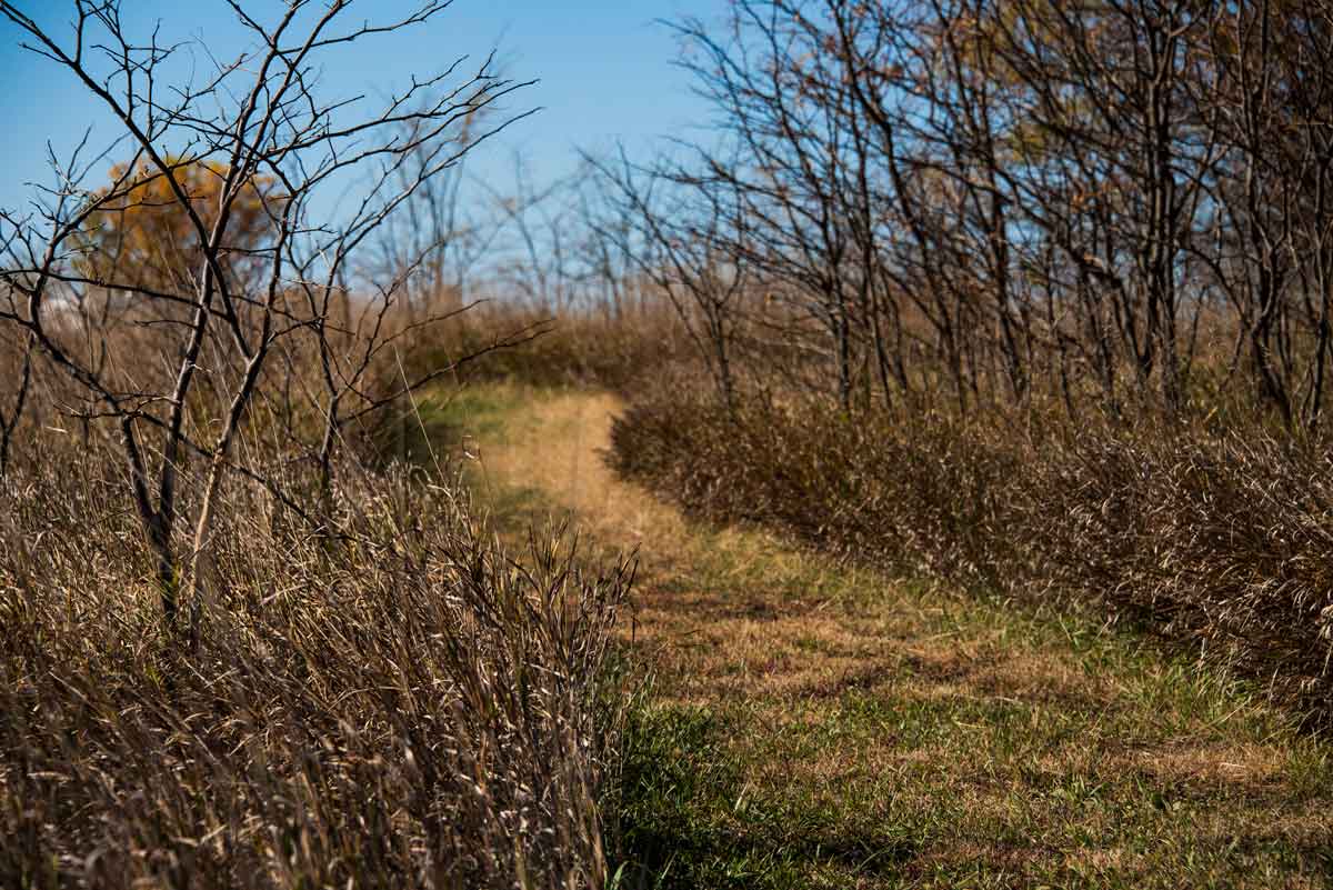 Escape to Kansas's Gem: Glen Elder State Park